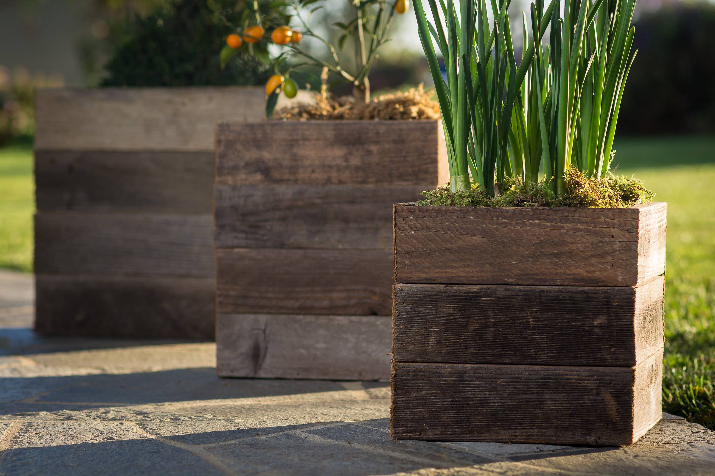 Rustic Reclaimed Wood Planter Box (Set of 3) | SheShac, image size:2400x1600